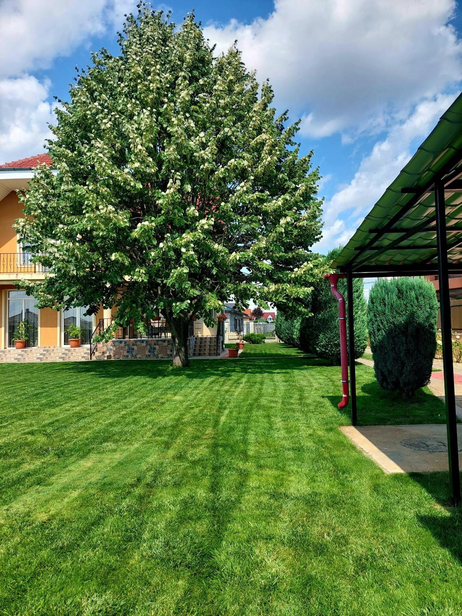 Casuta Cu Tei Villa Oradea Exteriör bild